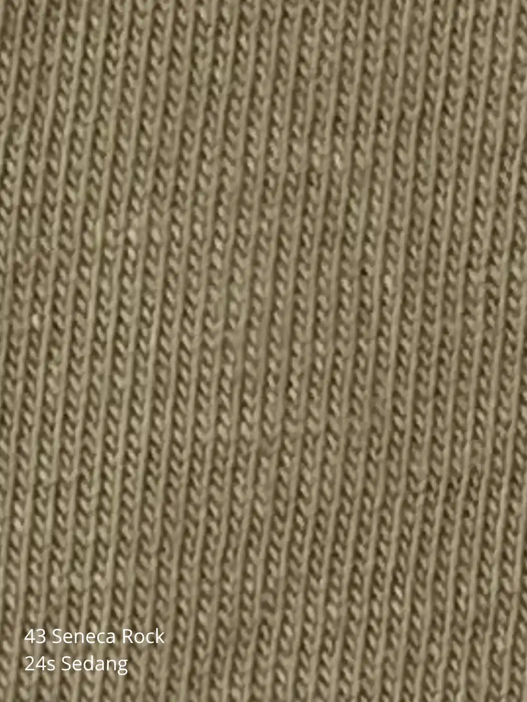 Cotton Combed BCI Biowash